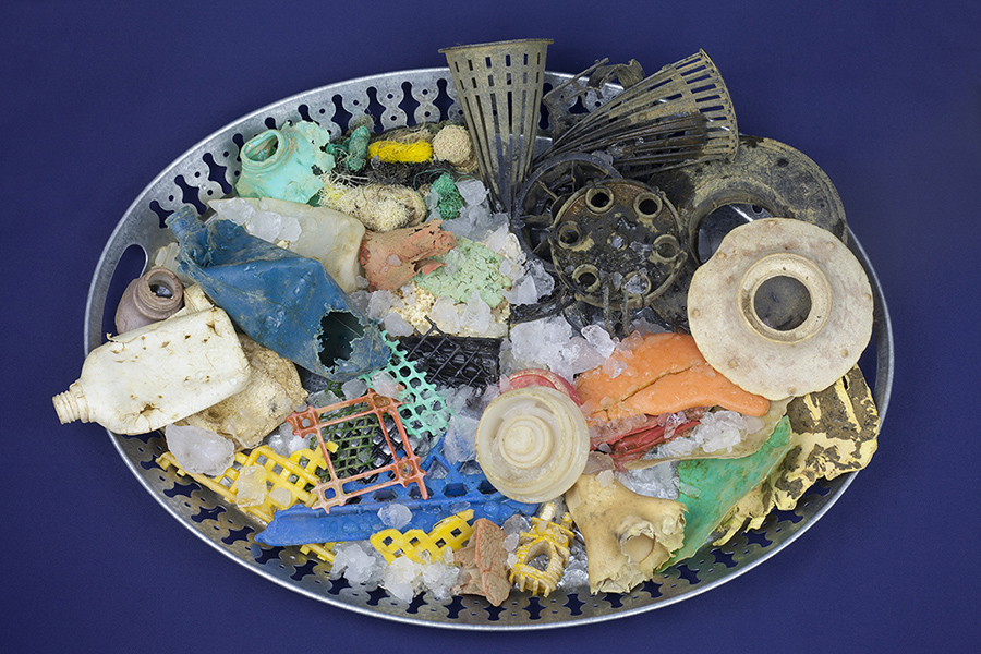 Plateau de Fruits de Mer (Seafood Platter)