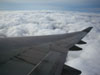 In-Flight from Arizona